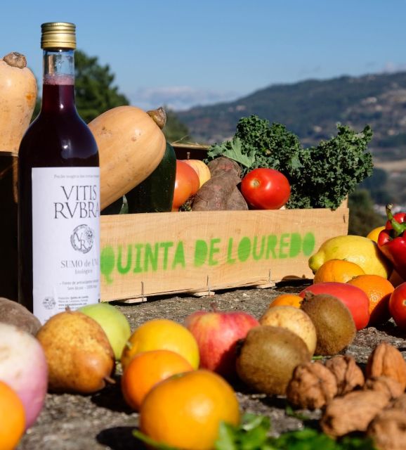 Traditional Cooking Class and Farm Tour in the Douro Valley - Experience Highlights