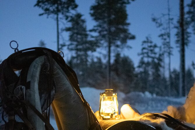 Traditional Finnhorse Sleigh Ride at SCV (3km)