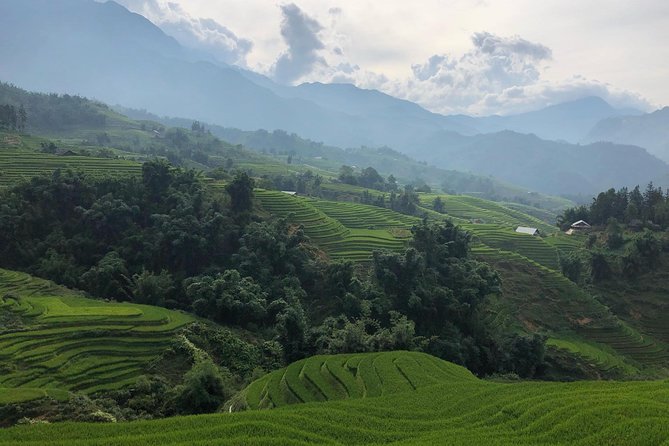 1 trekking sapa 1 day the best terraced rice field Trekking Sapa 1 Day - the Best Terraced Rice Field