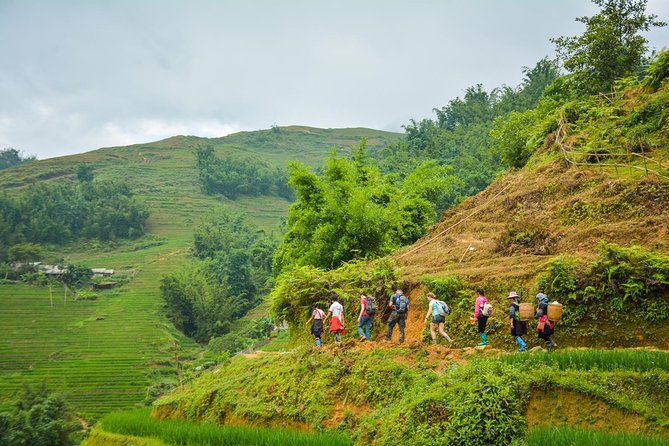 1 trekking through rice terraced fields 1day Trekking Through Rice Terraced Fields - 1Day