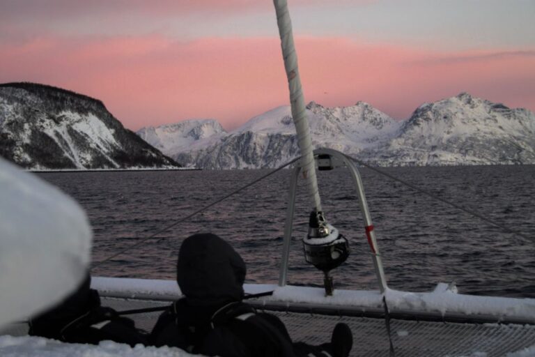 Tromsø: Arctic Fjord Sightseeing Cruise in Luxury Catamaran