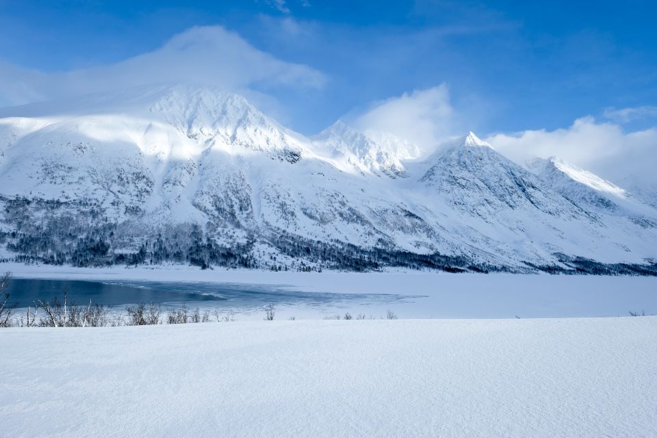 Tromsø: Arctic Landscape and Fjord Tour