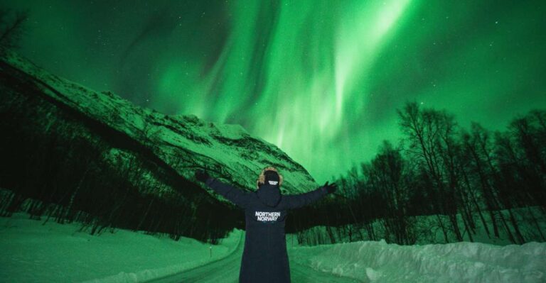 Tromsø: Aurora Borealis Chase With Guide, Meals & Campfire