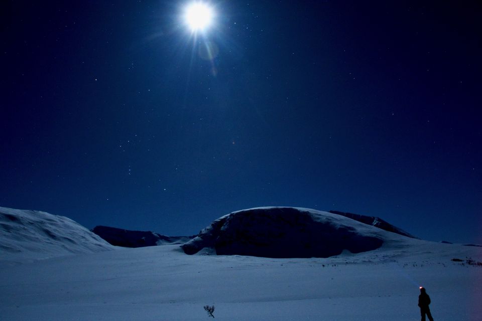 Tromsø: Beginners Guided Backcountry Cross-Country Skiing