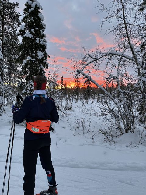 1 tromso cross country course with a guide and views Tromsø: Cross Country Course With a Guide and Views