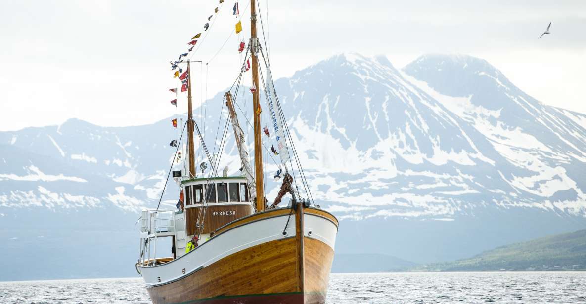 Tromsø: Fishing & Fjord Cruise