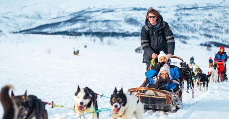 Tromsø: Guided Husky Sledding With Traditional Lunch