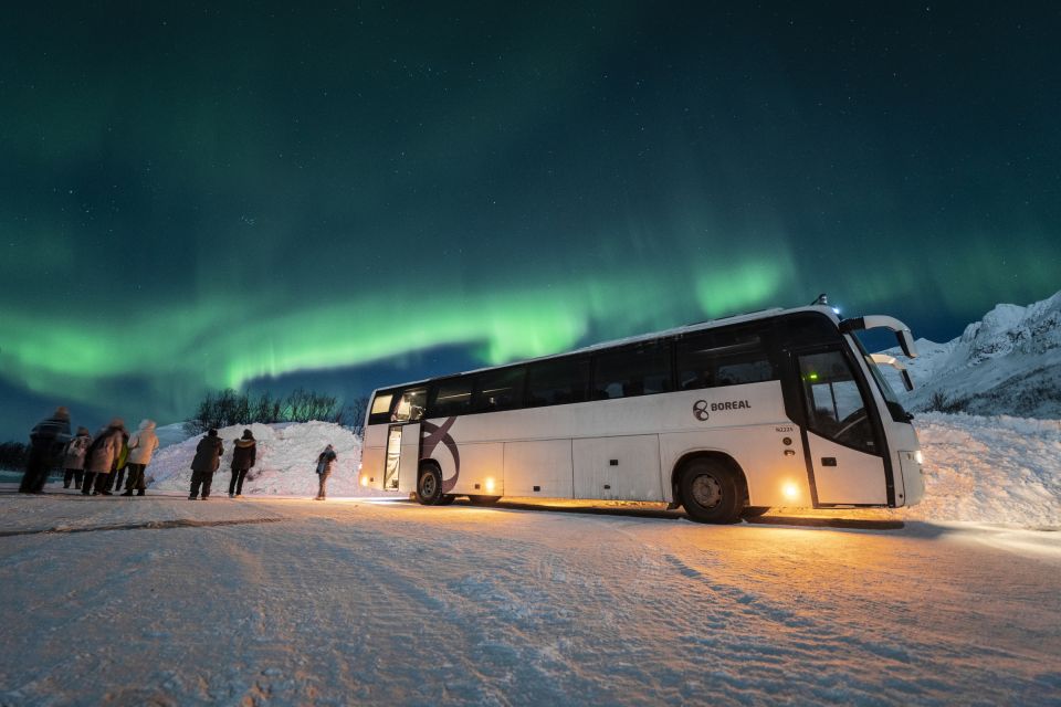 1 tromso northern lights guided bus tour Tromsø: Northern Lights Guided Bus Tour