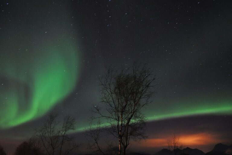 Tromsø: Northern Lights Husky Visit With Traditional Dinner