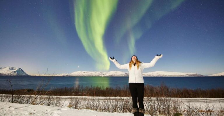 Tromso: Northern Lights Photo Excursion