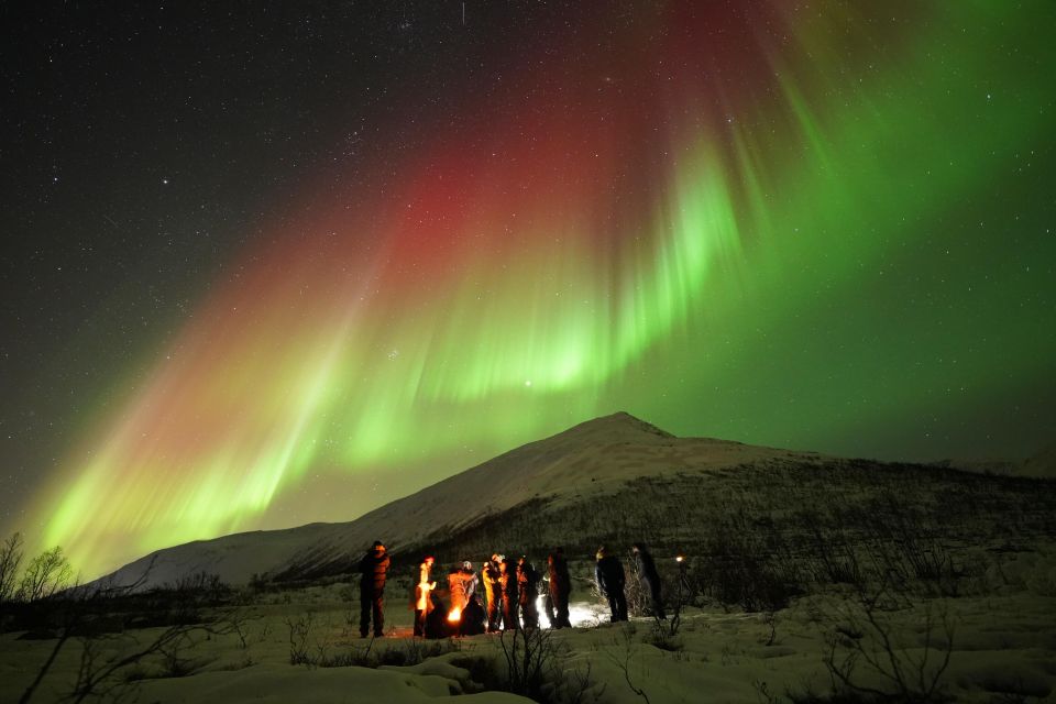 Tromsø: Northern Lights Tour With Free Professional Portrait