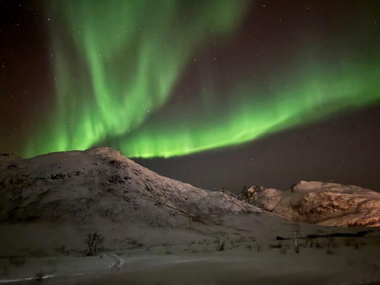 Tromsø: Northern Lights Tour With Hot Food and Drinks