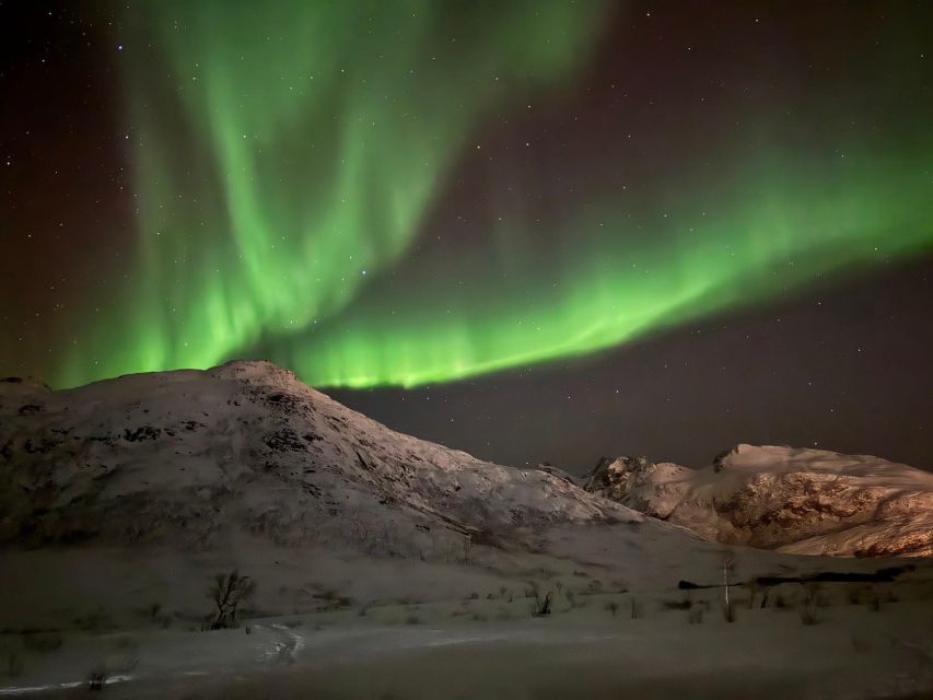 1 tromso northern lights tour with hot food and drinks Tromsø: Northern Lights Tour With Hot Food and Drinks