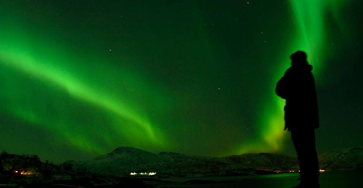 1 tromso northern lights walking tour Tromsø: Northern Lights Walking Tour