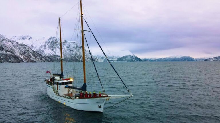 Tromsø: Polar Fjord Cruise on a Luxury Yacht With Lunch