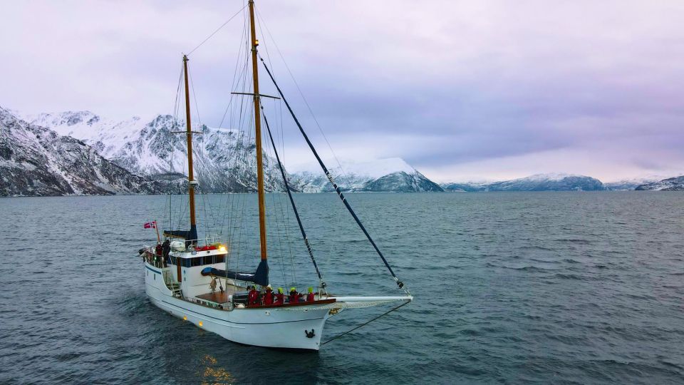 1 tromso polar fjord cruise on a luxury yacht with lunch Tromsø: Polar Fjord Cruise on a Luxury Yacht With Lunch