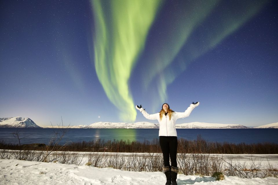 Tromsø: Private 6-Hour Aurora Chase by Minivan