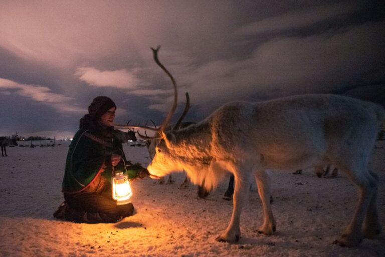 Tromsø: Reindeer Sled, Dinner, and Northern Lights Day Trip