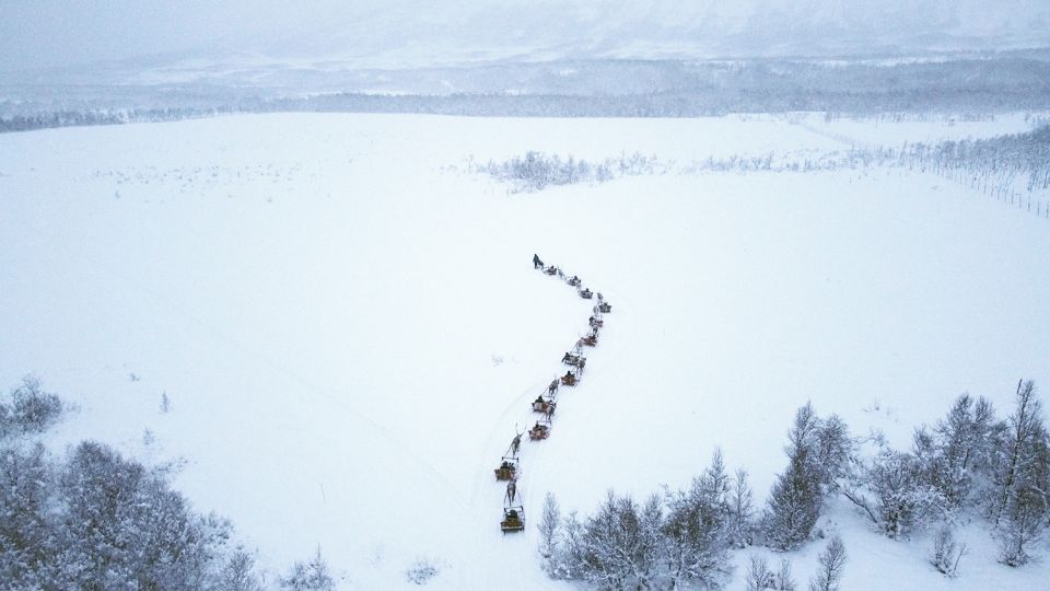 1 tromso sami reindeer sledding and sami cultural tour Tromsø: Sámi Reindeer Sledding and Sami Cultural Tour