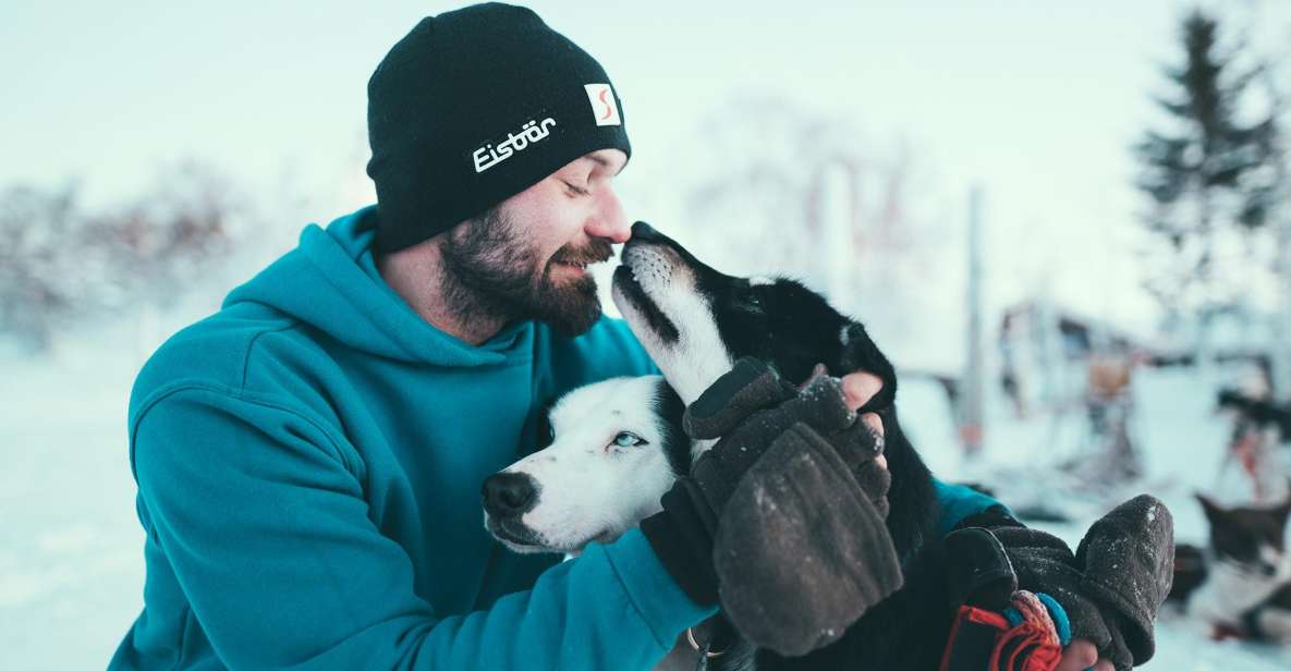 Tromsø: Self-Drive Husky Dog Sledding Adventure