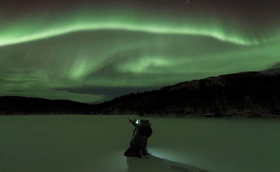 Tromsø: Small Group Aurora Hunt Tour With Citizen Science