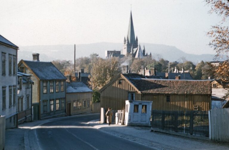 Trondheim Like a Local: Customized Private Tour