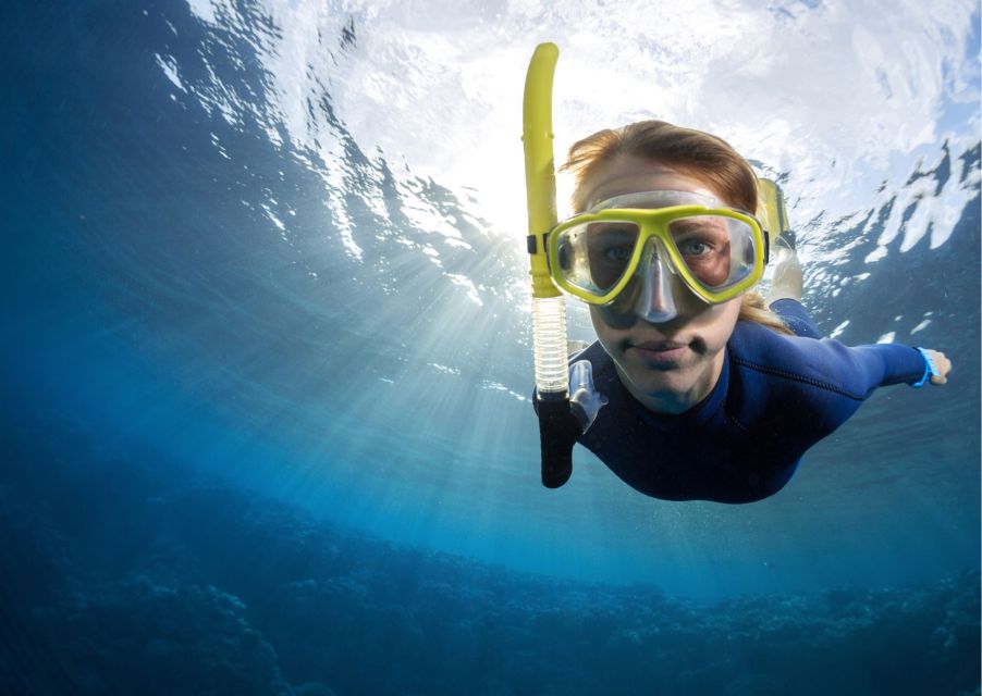 Try Freediving Experience in Arrábida Marine Reserve - Freediving Techniques