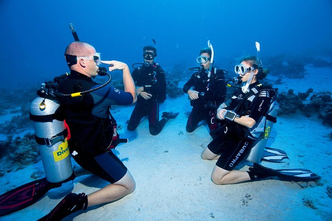 Try Scuba Dive (Baptism of the Sea)