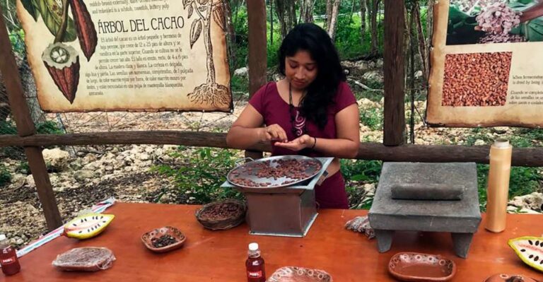 Tulum: Chocolate & Honey Sanctuary Experience With Lunch