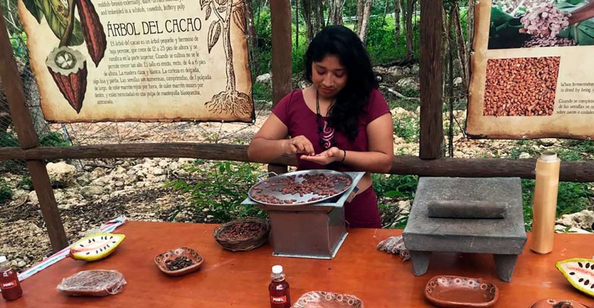 1 tulum chocolate honey sanctuary experience with lunch Tulum: Chocolate & Honey Sanctuary Experience With Lunch