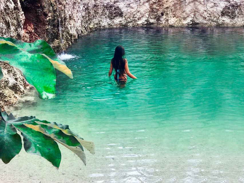 Tulum: Raw Honey & Chocolate Tour With Vegan Lunch & Cenote - Experience