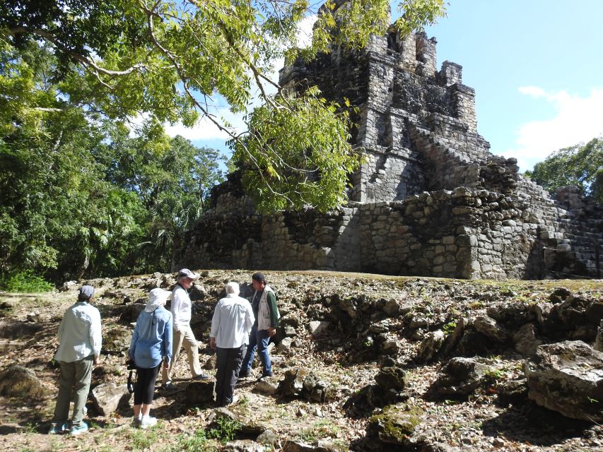 1 tulum sian kaan biosphere reserve guided birdwatching hike Tulum: Sian Ka'an Biosphere Reserve Guided Birdwatching Hike