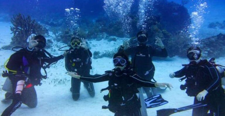 Tulum: Try Scuba Diving Adventure