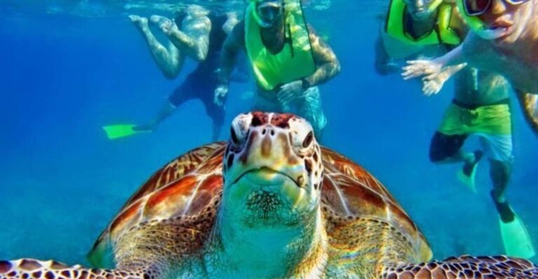 Tulum:Private Mayan Ruins & Swimming With Turtles Experience
