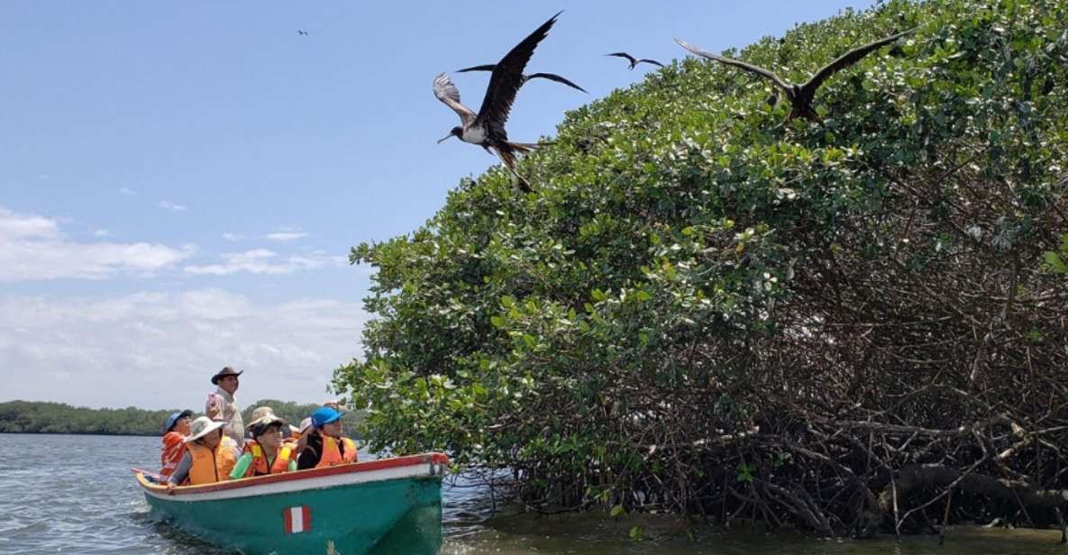 1 tumbes mangrove national sanctuary Tumbes: Mangrove National Sanctuary