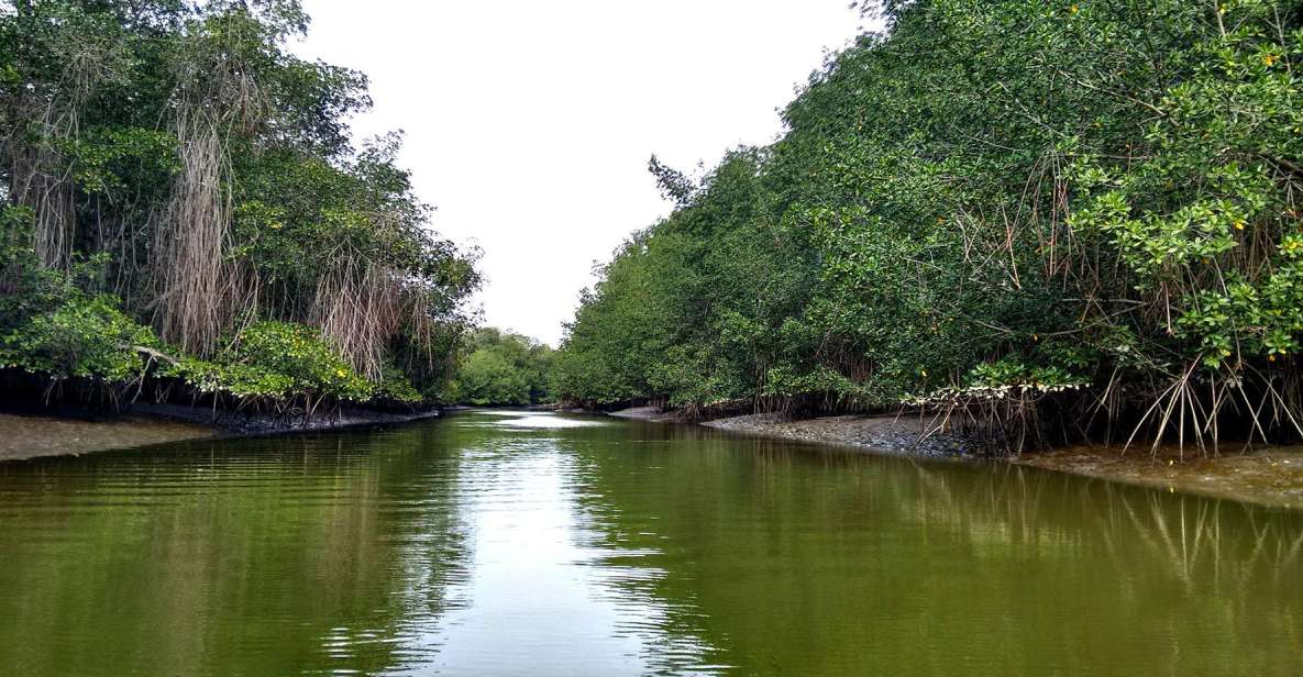 1 tumbes puerto pizarro islands and mangroves Tumbes: Puerto Pizarro Islands and Mangroves