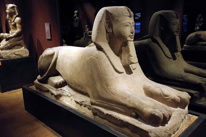 Turin: Egyptian Museum & City Tour Guided Experience