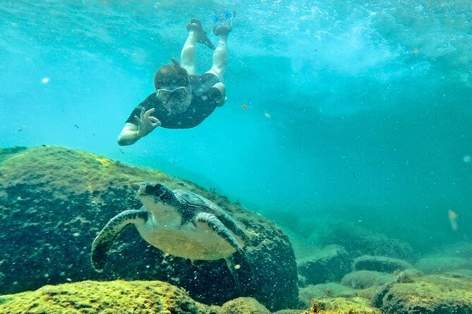 1 turtle snorkeling by adrenailha Turtle Snorkeling by Adrenailha