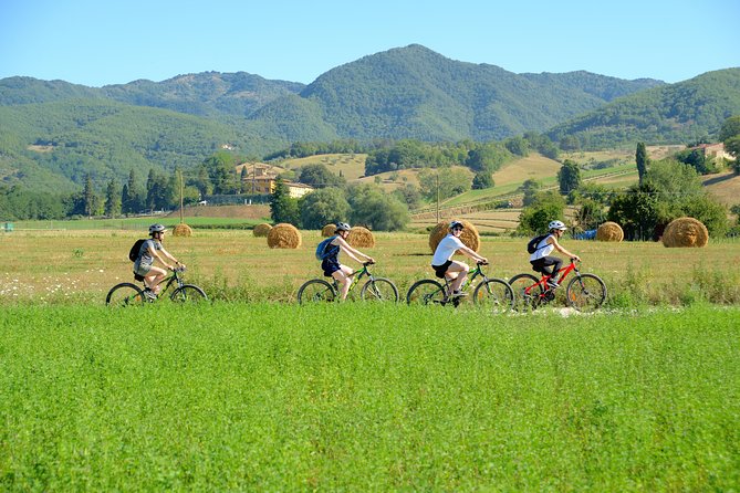 Tuscan Countryside Bike Tour and Food Tasting