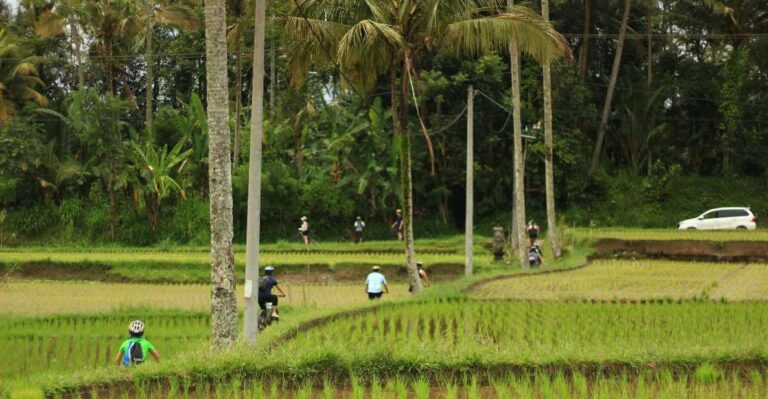 Ubud: Afternoon Cycling Tour With Photographer and Lunch