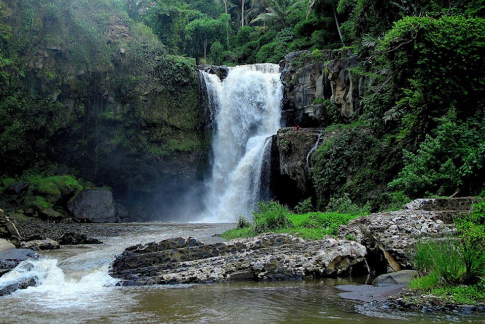 Ubud & Canggu: Rice Terrace, Waterfall & Black Sand Beach