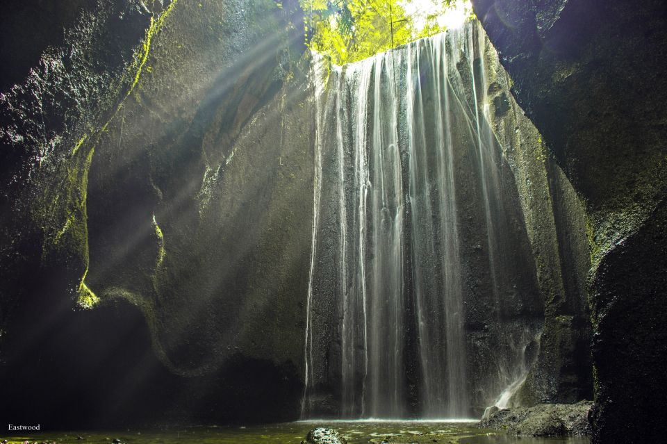 1 ubud jungle swing private tour Ubud: Jungle Swing Private Tour