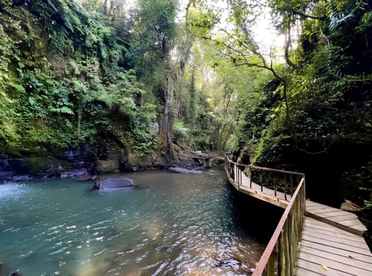 Ubud Monkey Forest, Rice Terrace, Temple & Hidden Waterfall