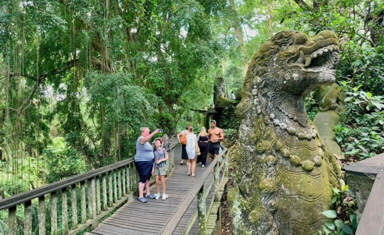 Ubud: Monkey Forest, Rice Terrace & Waterfall Guided Tour