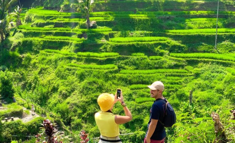 Ubud: Monkey Forest, Waterfall & Rice Terraces Guided Tour