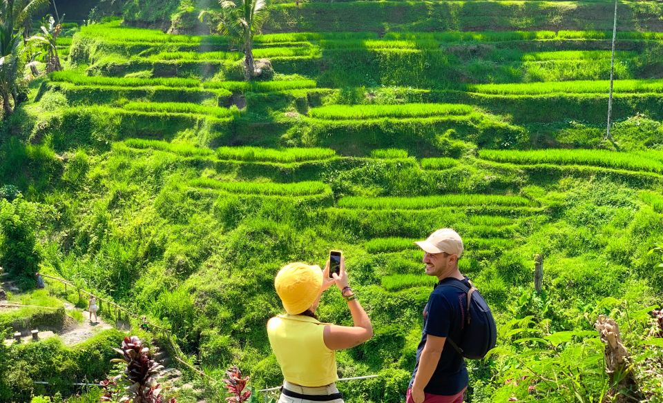 1 ubud monkey forest waterfall rice terraces guided tour Ubud: Monkey Forest, Waterfall & Rice Terraces Guided Tour