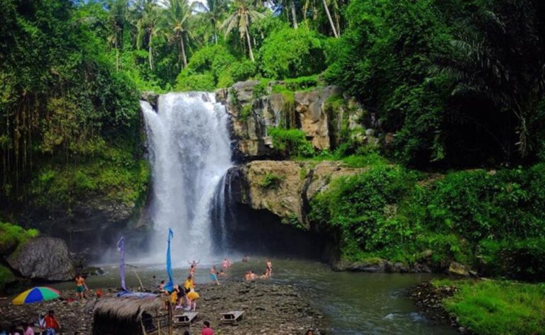 Ubud : Rice Terrace, Monkey Forest and Waterfall