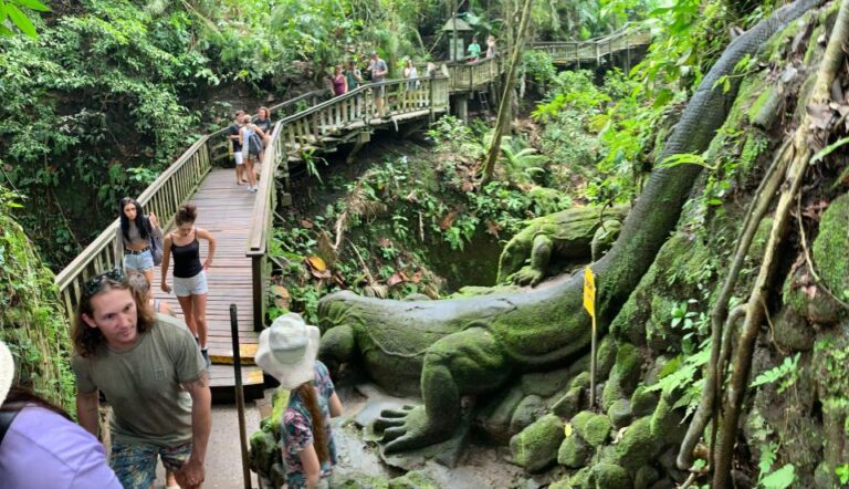 Ubud: Rice Terrace, Monkey Forest & Waterfall Guided Tour