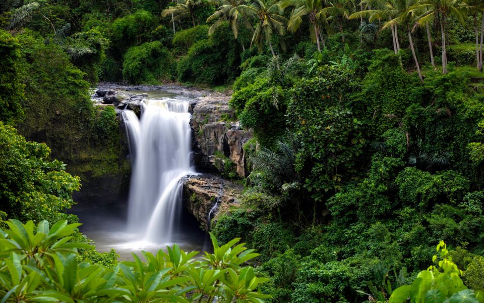 1 ubud rice terraces waterfall and monkey forest day tour Ubud: Rice Terraces, Waterfall, and Monkey Forest Day Tour