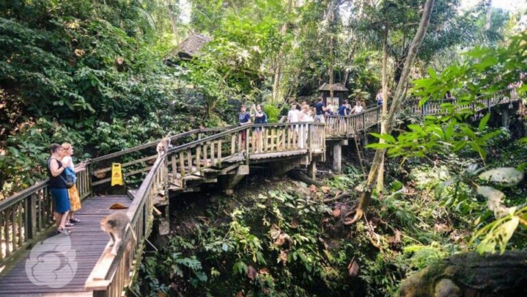 Ubud Sightseeing & Monkey Forest Tour